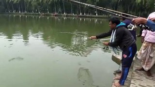 Katla fish hunter