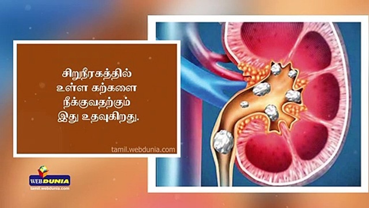 இரத்தத்தில் சர்க்கரையை குறைக்கும் பாகற்காய்