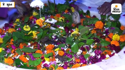 ઉમરામાં આવેલા રામનાથ ઘેલા શિવ મંદિરમાં ભગવાનને જીવતા કરચલા ચડાવાયાં