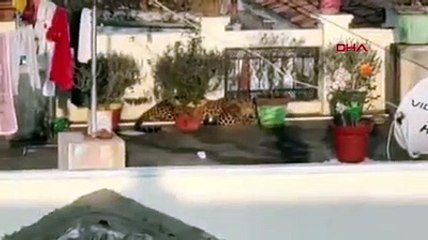 Hindistan'da bir evin çatısında uyuyan leopar yakalandı