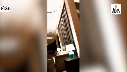 મદમસ્ત હાથીએ હૉટેલની લોબીમાં લટાર મારી, 20 લાખ લોકોએ વીડિયો જોયો