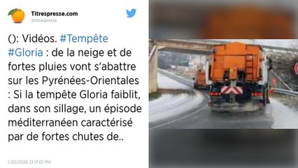 Neige et verglas : la tempête "Gloria" arrive, les Pyrénées-Orientales en alerte