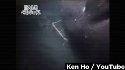 Megalodon Shark Sightings Caught on Tape