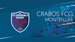 Crabos FCG - Montpellier : les plus belles actions du match