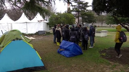 Hayvanseverler fayton konusunda "net ve kapsamlı" açıklama bekliyor