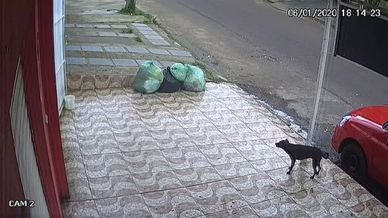 Instant Karma for Unkind Cyclist