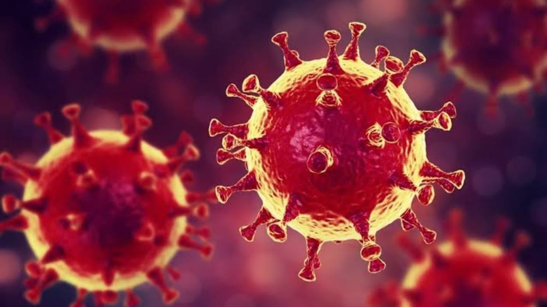 ¿Cuáles son los síntomas del Coronavirus?