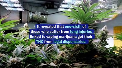 Download Video: 1 in 6 Vaping Lung Illnesses Linked to Legal THC, Says Federal Report