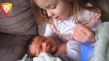 Big Siblings Protecting Babies Compilation