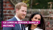 Le prince Harry pose un lapin à son frère William pour retrouver Meghan et Archie au Canada