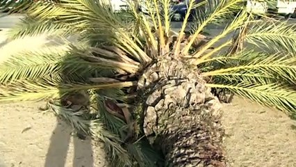 "Глория" обрушилась на испанское побережье