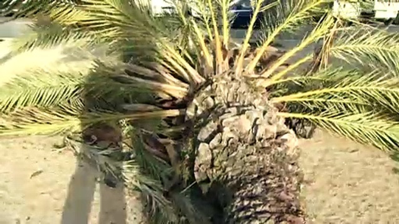 Sturm und Schnee in Spanien: Unwetter fordert drei Tote