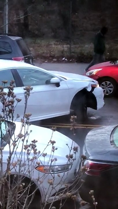 Driver Experiencing Some Serious Struggles