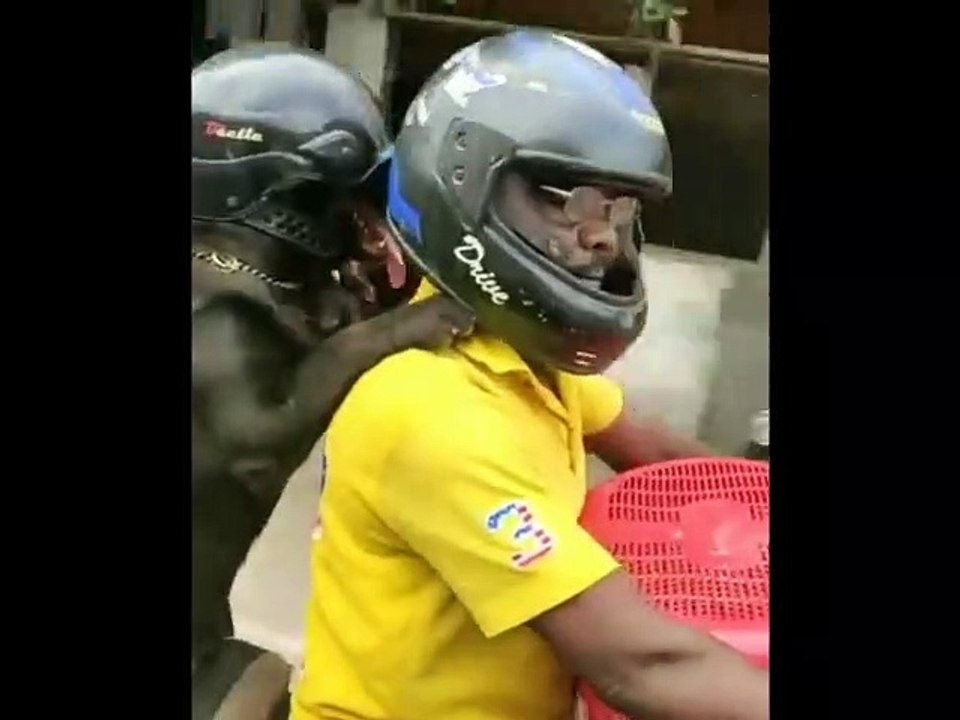 Funy Public Fails Best funny compliation video new ebst funny fails crazy public faisl