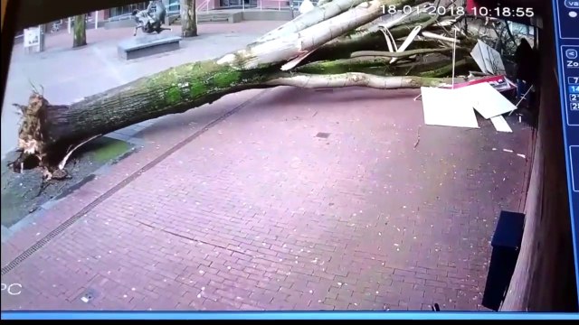 Chanceux du jour, cette maman avec sa poussette va avoir un bon karma