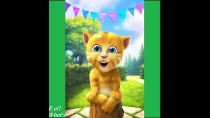 Bom dia engraçado: Ontem à noite, a chapa esquentou para mim! [Mensagem] [Frases e Poemas]