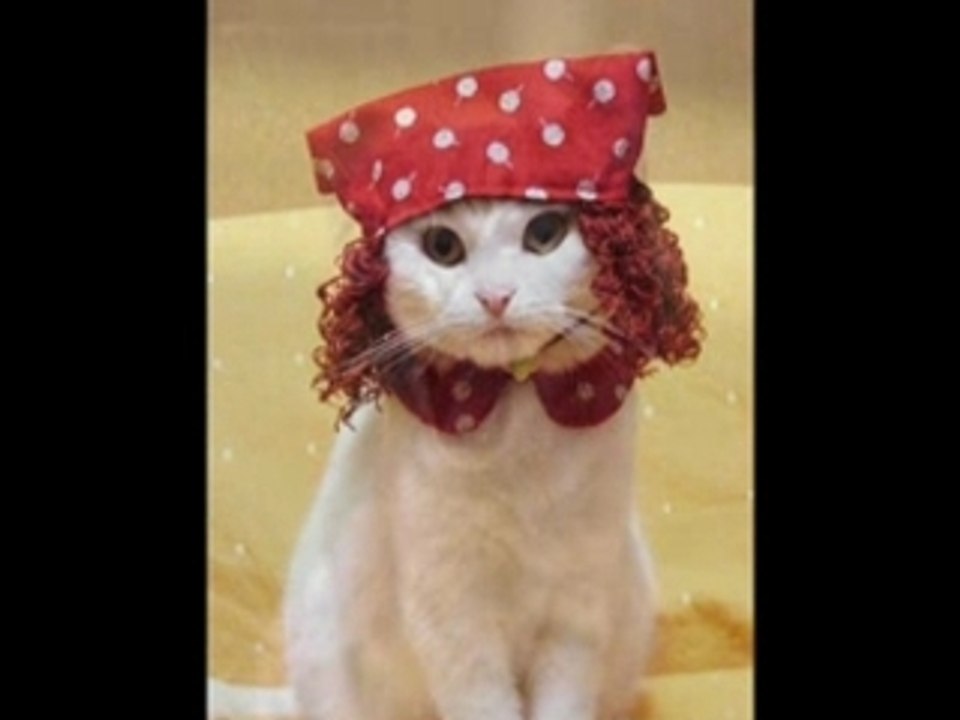 La chatte (version longue)