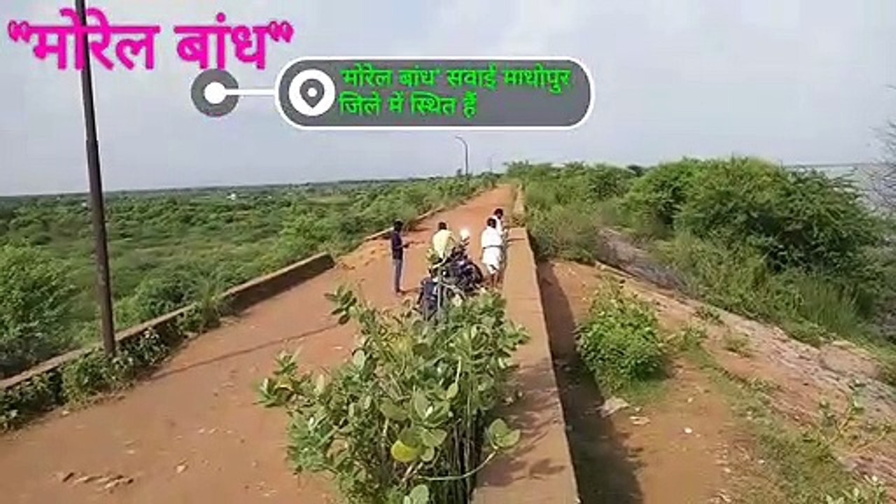मोरेल बांध पर चली चादर देखिये प्रकृति का सुन्दर नज़ारा (Morel Dam
