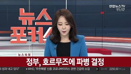 [속보] 정부, 청해부대 호르무즈에 파병 결정