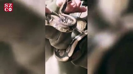 Yasmin Erbil’den yılan şov