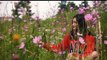 Barije Redot - Lumbini Roy - Cover by Novonil Chakma - Chakma Music Video - Northeast India