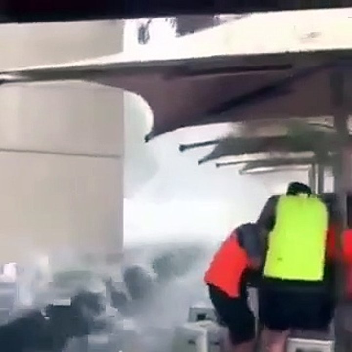 Aşırı su içiyorlar diye 10 bin deveyi katleden Avusturalya'da felaket yaşanıyor