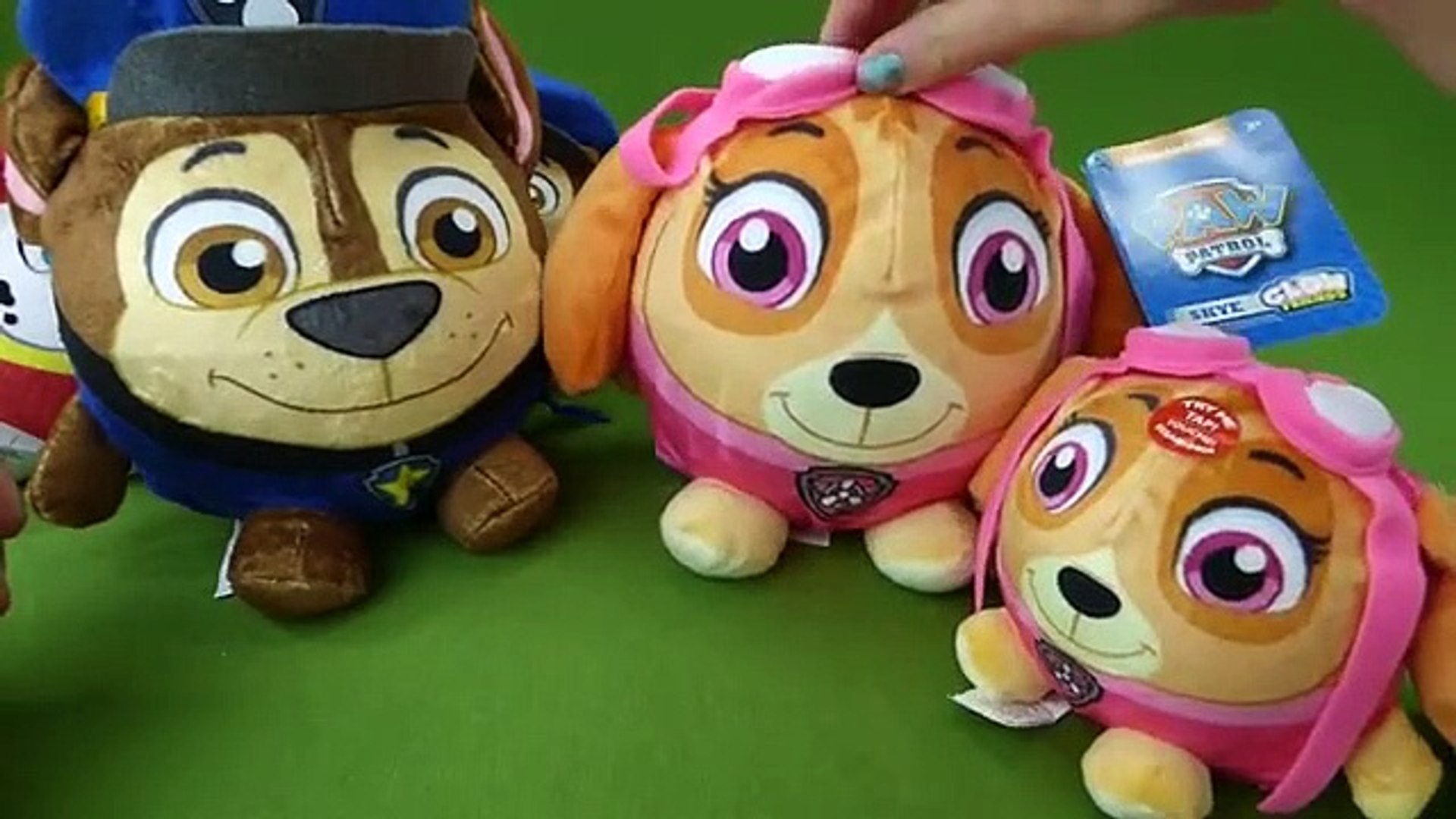paw patrol glow friends