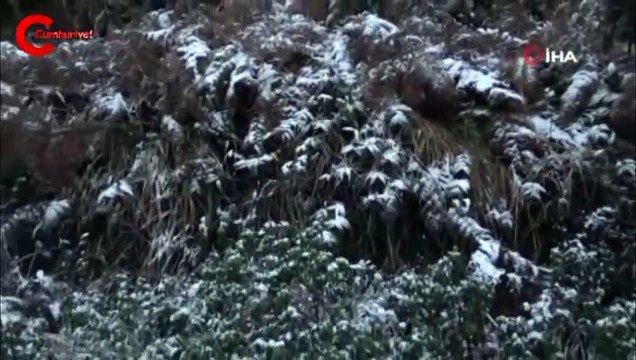 İstanbul’da kar yağdı, Aydos Ormanı beyaz örtüyle kaplandı