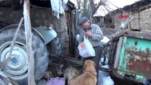 Kütahya emekli maaşıyla sokak hayvanlarını besliyor