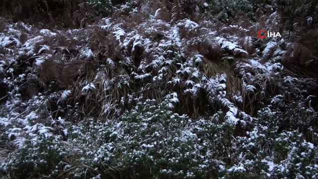 İstanbul’da kar yağdı, Aydos Ormanı beyaz örtüyle kaplandı