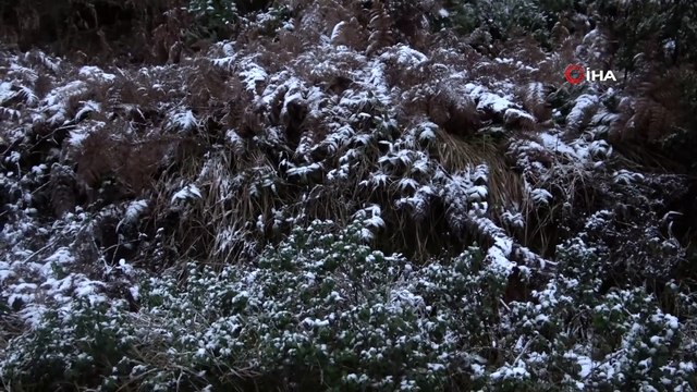 İstanbul’da Kar Yağdı, Aydos Ormanı Beyaz Örtüyle Kaplandı