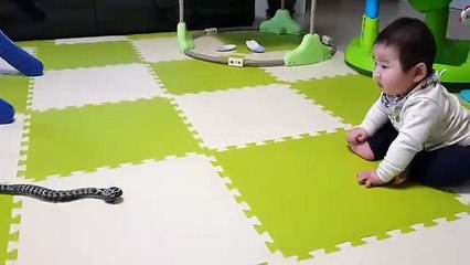 Child with snake Must watch