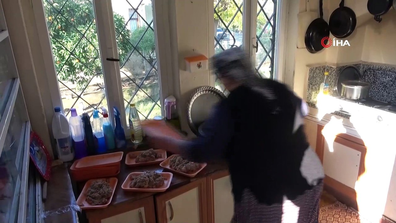 Nöbetçi kedi bakıcısı