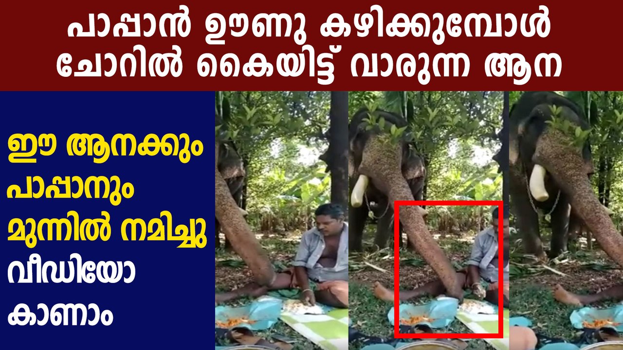 Elephant shares meals with caretaker ; viral video | Boldsky Malayalam