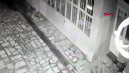 Annesini 15 yerinden bıçaklayıp polise teslim oldu