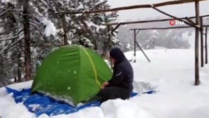 Ağaçlar zarar görmesin diye üzerine yağan karı temizleyip doğaya sahip çıkıyor