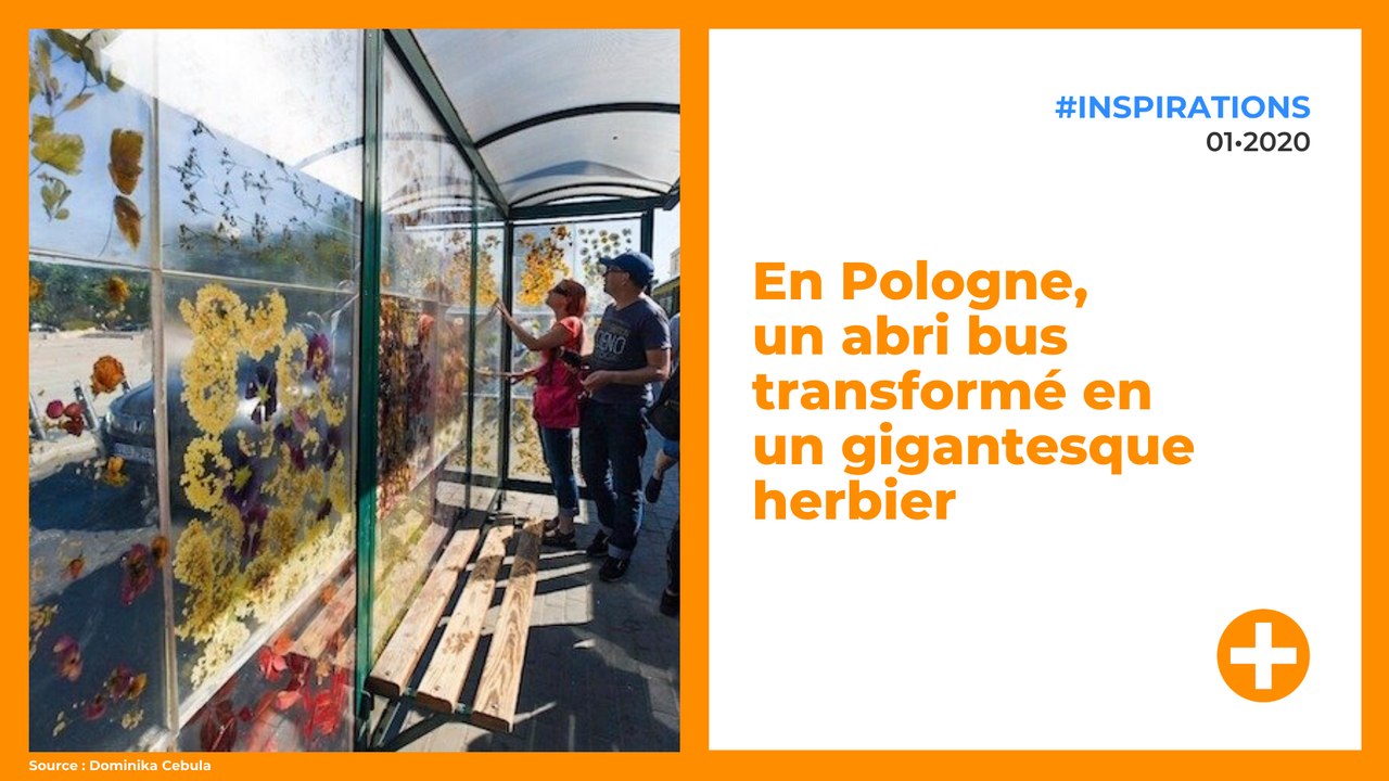 En Pologne, un abri bus transformé en un gigantesque herbier