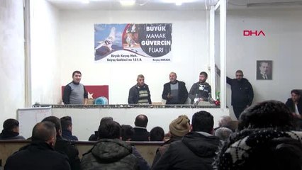 Ankara otomobil fiyatına güvercin