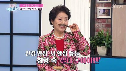 금 보다 귀한 약재 '침향' 그 맛과 효능은?!