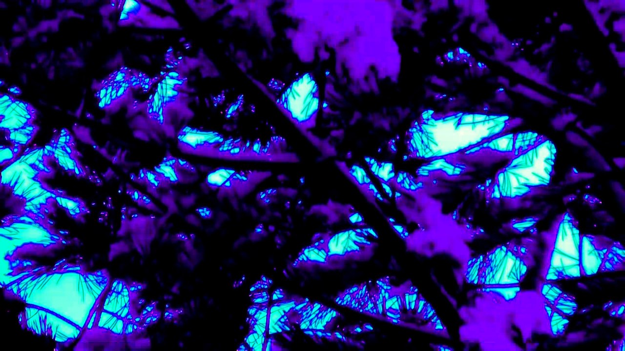 Dec 26 2019 DL4