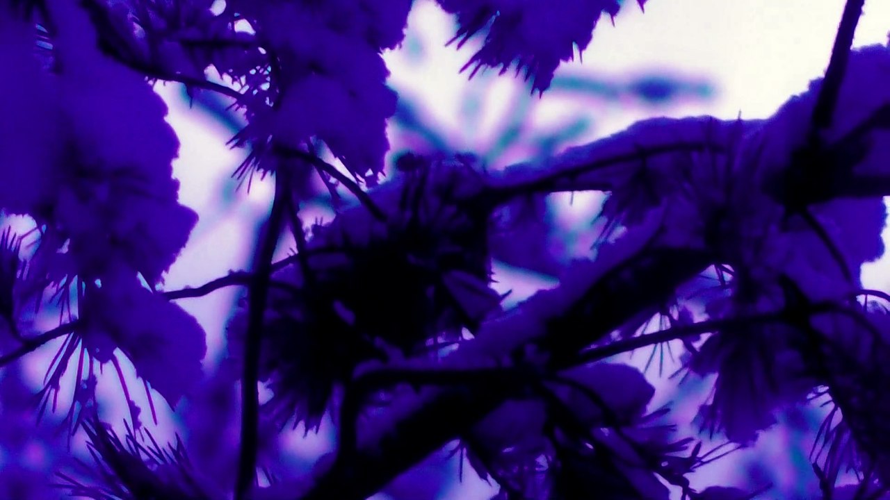 Dec 26 2019 DL1