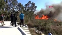 Antalya'da sazlık alanda yangın