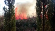 Antalya'da sazlık yangını: İtfaiye ekipleri müdahale ediyor