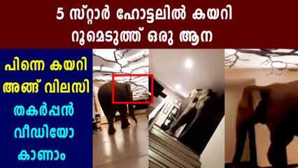 Famous Elephant Natta Kota in Jetwing Hotels | Oneindia Malayalam