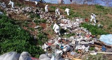 Adalar'daki fayton temizliğinde 25 ton atık çıkarıldı