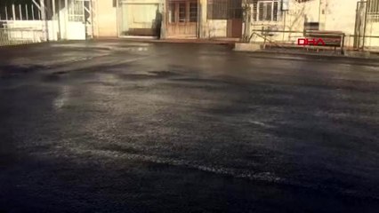 Adalar'da fayton temizliği; 25 ton atık çıkarıldı