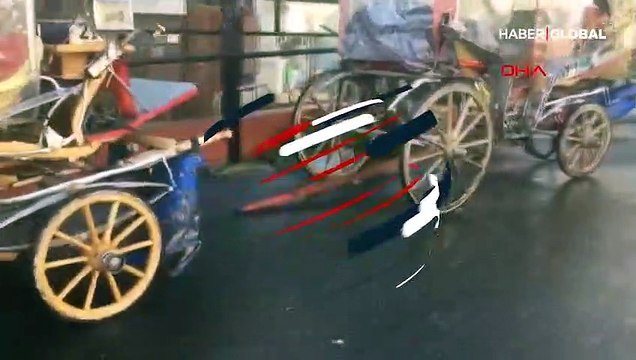 Adalar'daki fayton temizliğinden 25 ton atık çıktı