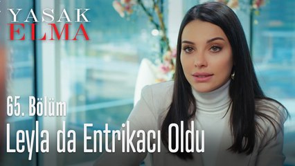 Leyla da entrikacı oldu - Yasak Elma 65. Bölüm