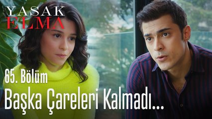 Lila ve Yiğit'in yeni planı - Yasak Elma 65. Bölüm