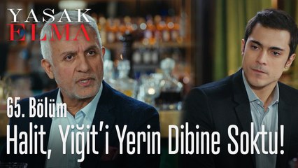 Halit, Yiğit'i yerin dibine soktu - Yasak Elma 65. Bölüm